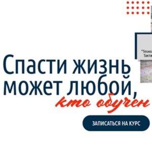 Как мы превратили блог школы «Спасти жизнь» в источник поискового трафика